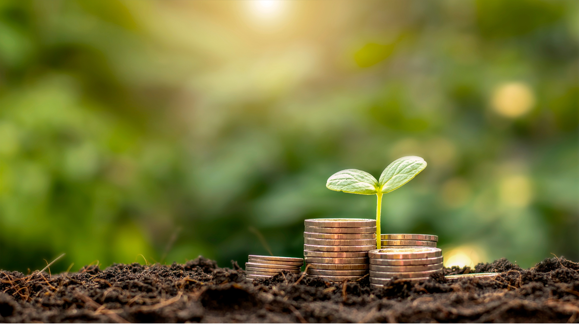 Featured image for “New Role for Investment Fiji”